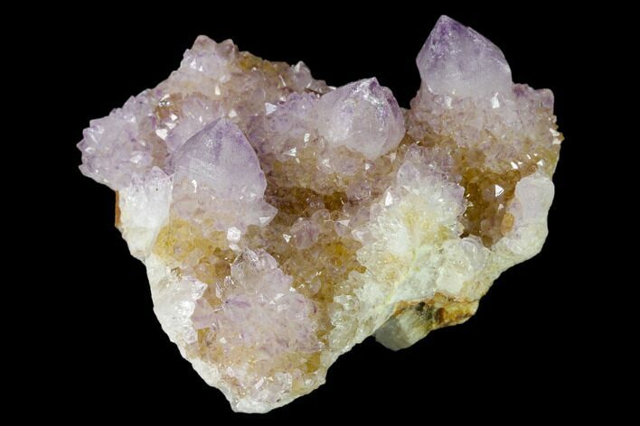Cactus Quartz (Amethyst) Crystal Cluster - South Africa #137776